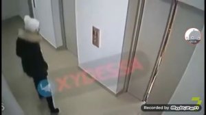 собака загрызла маленькую собаку!!😨😨😨😨