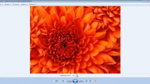 Файл tif чем открыть? tiff формат изображения