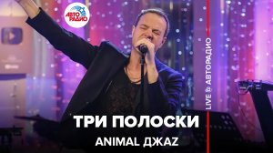 Animal ДжаZ - Три Полоски (LIVE @ Авторадио)