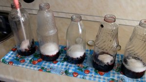 Компот из жимолости / Заготовка на зиму