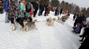 В деревню на прадо, расход топлива, день оленевода.