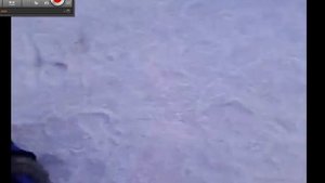 уроки дзюдо или каратэ !