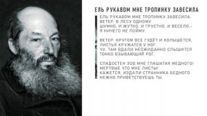 Афанасий Фет — Ель рукавом мне тропинку завесила (Аудио стихи слушать)