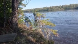 Казанка М с носовым тентом, гладиатор 9.9