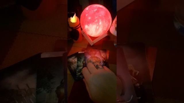 Какие чувства испытывает мужчина к своей любимой женщине? ОБЩЕЕ ГАДАНИЕ #таро смотреть онлайн