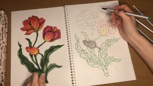 ASMR chewing gum, АСМР рисование по точкам, ЦВЕТЫ, жвачка АСМР, шёпот, ЧАВКАНИЕ, звук костра