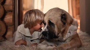 Самые Крупные Породы Собак в Мире