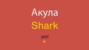 Акула по-английски