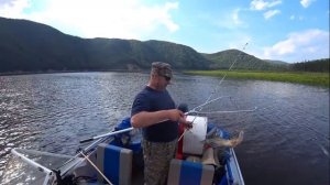 Зачем медведь выходит на косу. И немного рыбалки (один эпизод с нее был ранее)