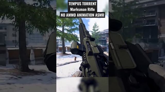 TEMPUS TORRENT Marksman Rifle - NO AMMO ANIMATION ASMR - Call of Duty Modern Warfare 2 - 1080p