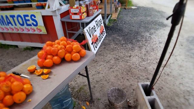 СВИДАНИЕ /ОБЗОР АМЕРИКАНСКОГО УНИВЕРСИТЕТА ГДЕ МОЯ ЖЕНА ПОЛУЧАЛА MASTERS ДИПЛОМ КОГДА ПРИЕХАЛА В СШ смотреть онлайн