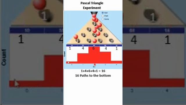 Grade 12 Applied Pascal Triangle Experiment