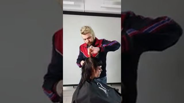 Стрижка Маллет