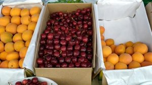 Ripe strawberries in Tashkent//в Ташкенте созрела клубника