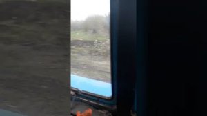 МТЗ- 80 УК корчевание кустов 13.04.2019