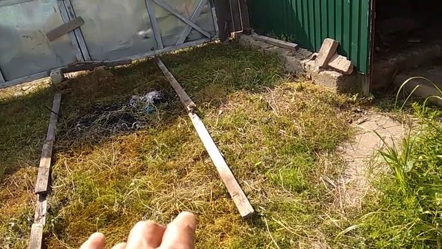 Чтобы трава не росла. Гениальная идея. смотреть онлайн