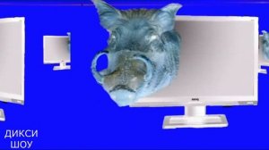 Кабанчик Экранчик ТУЦ- ТУЦ-ТУЦ на разныхскоростях