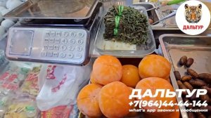 ТУРЫ В ХАРБИН из Владивостока! Едем в Харбин на Сапсане +7(964)44-44-144 Заказать туры в Харбин 202