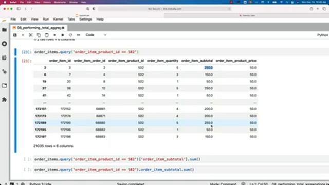 Programming Essentials Python - Overview of Pandas Libraries - Performing Total Aggregations