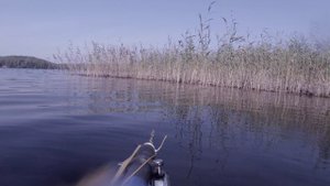 Молодь-2