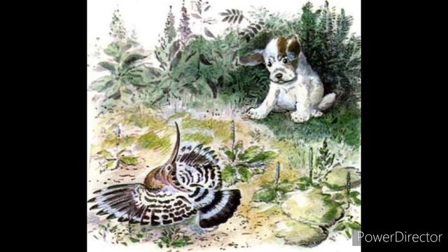 В. Бианки "Первая охота" смотреть онлайн