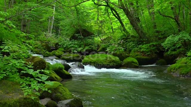 Волшебный звук флейты обладает лечебными свойствами #лечебнаямузыка #флейта смотреть онлайн