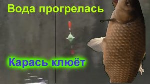 Карась клюёт отлично 20 Мая часть №1