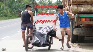 Бешенная собака укусила.пранк.