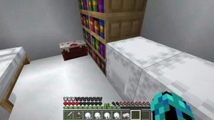 Путешествую по миру. Стал пингвином???