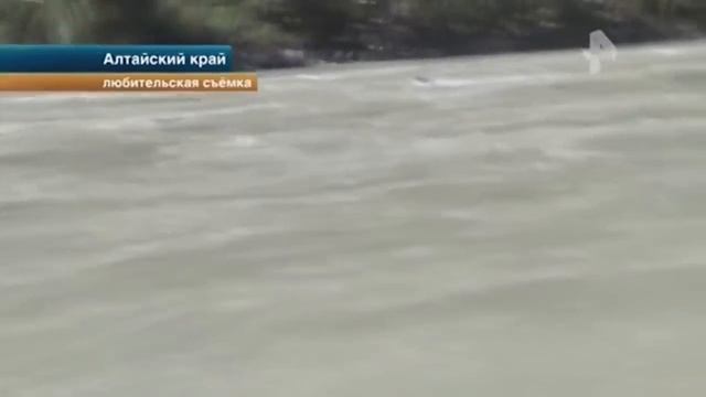 Мужчину унесла бурная река Алтайский край смотреть онлайн