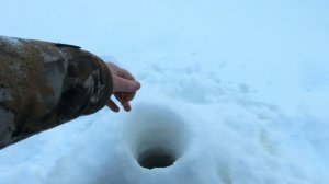 ОПОЗДАЛИ НО ТОЛСТЫХ ЯЗЕЙ И ПОЛОСАТЫХ ГОРБАЧЕЙ НАШЛИ! РЫБАЛКА НА ТАЁЖНОЙ РЕКЕ ЕТЫПУР, ГЛУХОЗИМЬЯ НЕТ