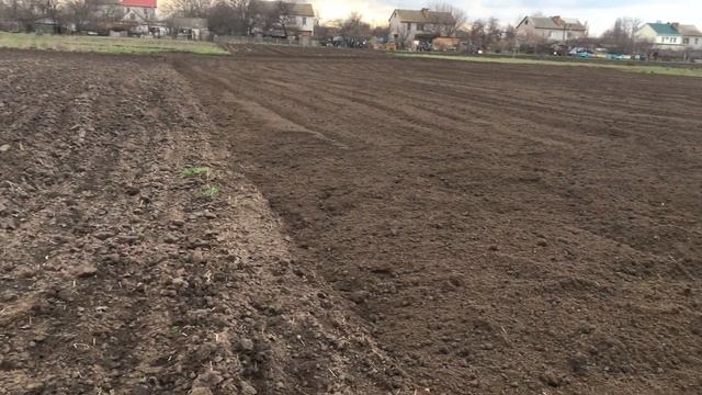 Сравнение культивация почвы против фрезеровки мотоблоком