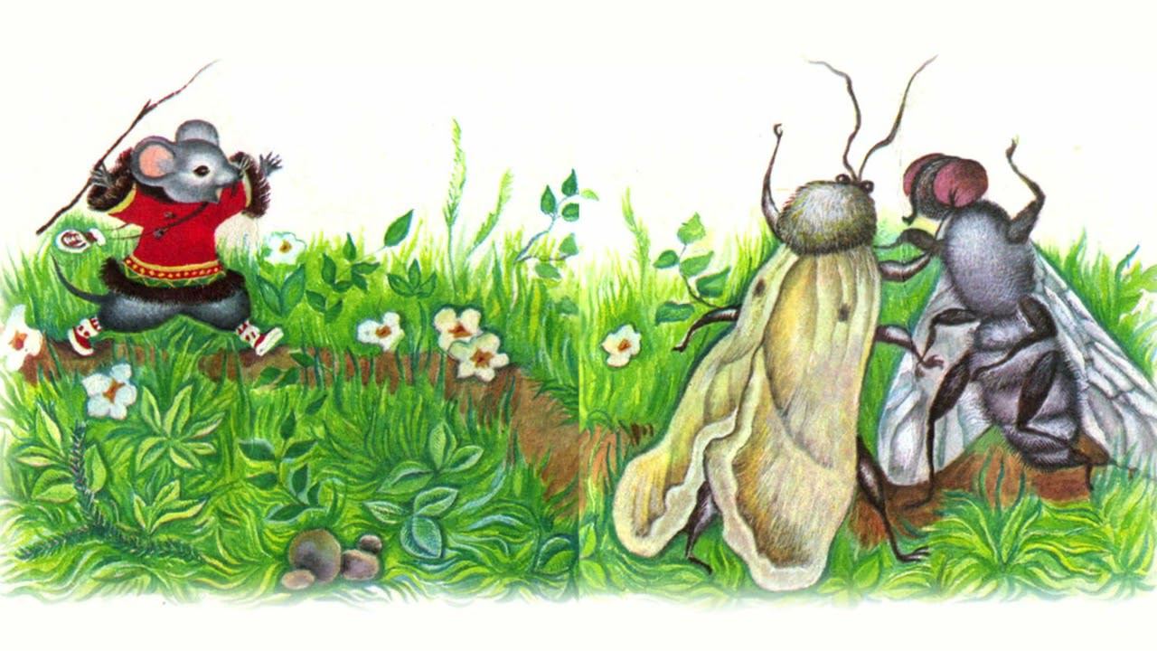 Picture background