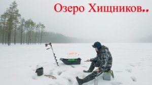 Рыбалка по Глухому Озеру в Зимней Тайге UHD