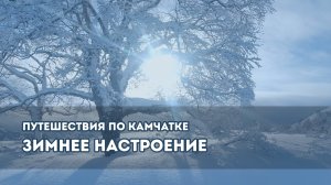 Зимнее настроение  Природа Камчатки