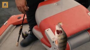 На рыбалку с Сергеем Чудиновым. Ловля твичингом на воблеры Akara Mullet и Akara Best Minnow.