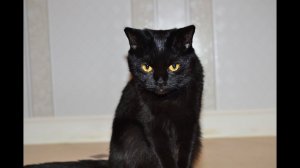 Вы чё творите!