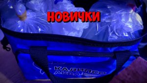 Новички из Калипсо Аква  | Морская аквариумистика