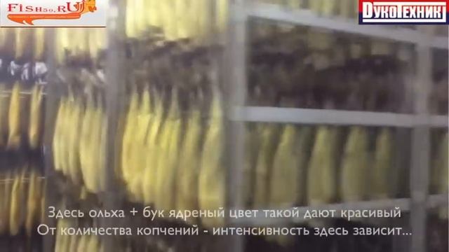 Камера горячего и холодного копчения: рыбы, мяса, сыра или любых продуктов. Коптильная термокамера.