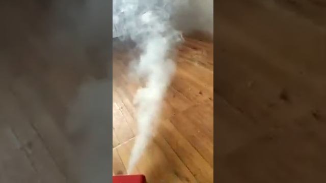 Удаление запаха кошки смотреть онлайн