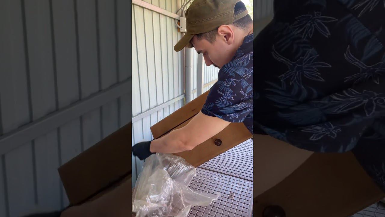 Дверца на печь барбекю «Принц» РАСПАКОВКА #гриль #барбекю #барбекюкомплекс