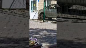 Прогулка по городу Бикин, часть 2