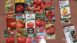 Обзор семян томатов на  2024 год. Выводы прошлого года.