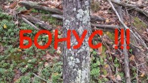 Тюнинг СКС...