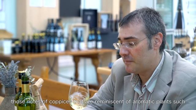 Videocata Vino Emina Verdejo- D.O. Rueda смотреть онлайн