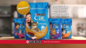 Purina CAT CHOW Defense Plus (2018)