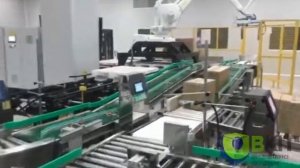 Упаковка банок в коробки