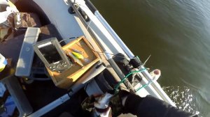 Осенний ЖЕРЕХ на нижней Волге