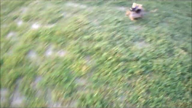 Арчи смотреть онлайн