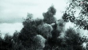 Березовые сны